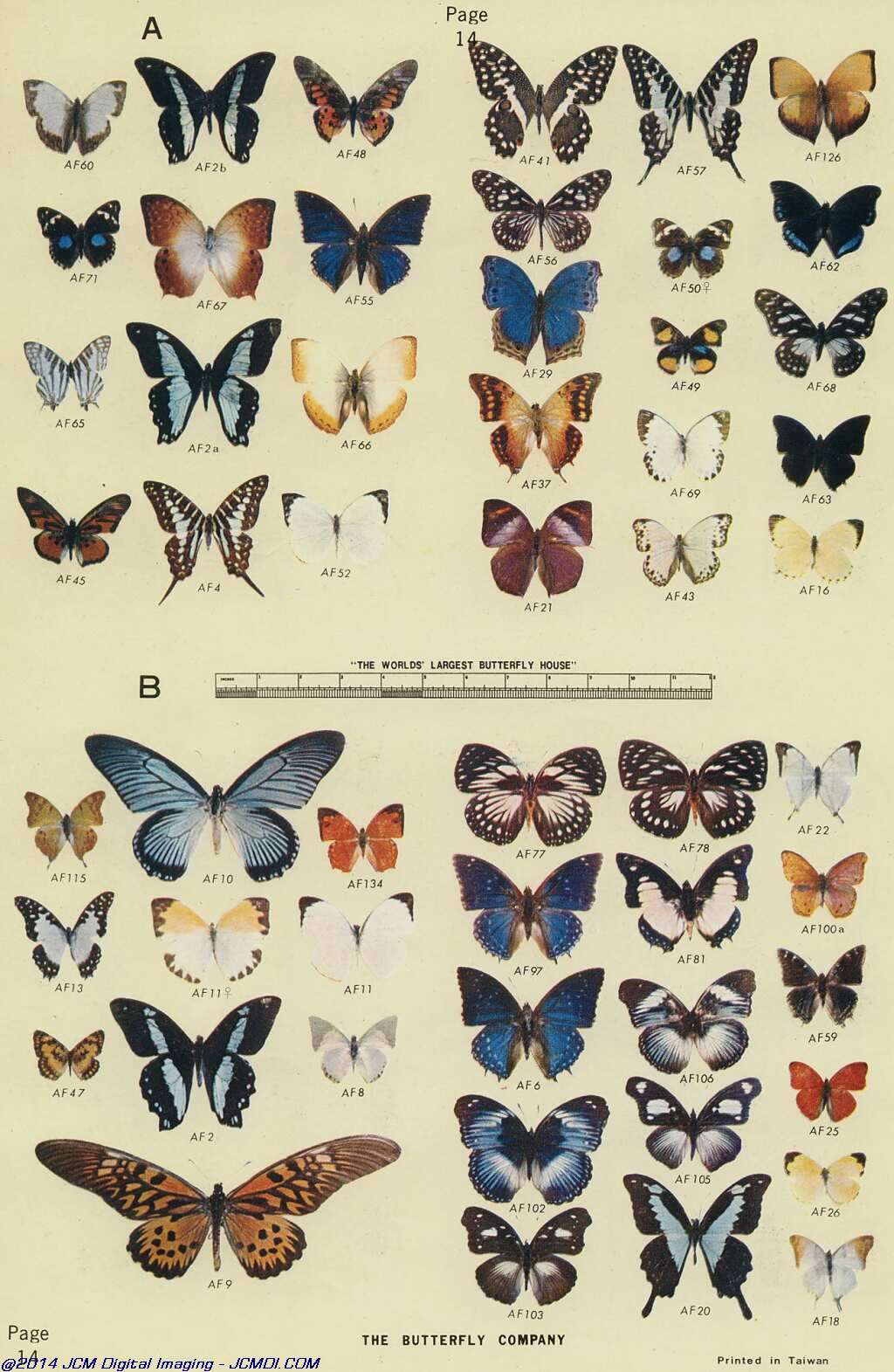 The Butterfly Company (NY) 18 page catalog 1976